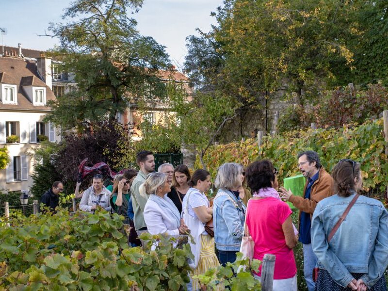 This is an image of a tour group amongst the vineyards looking at a tour guide speak.