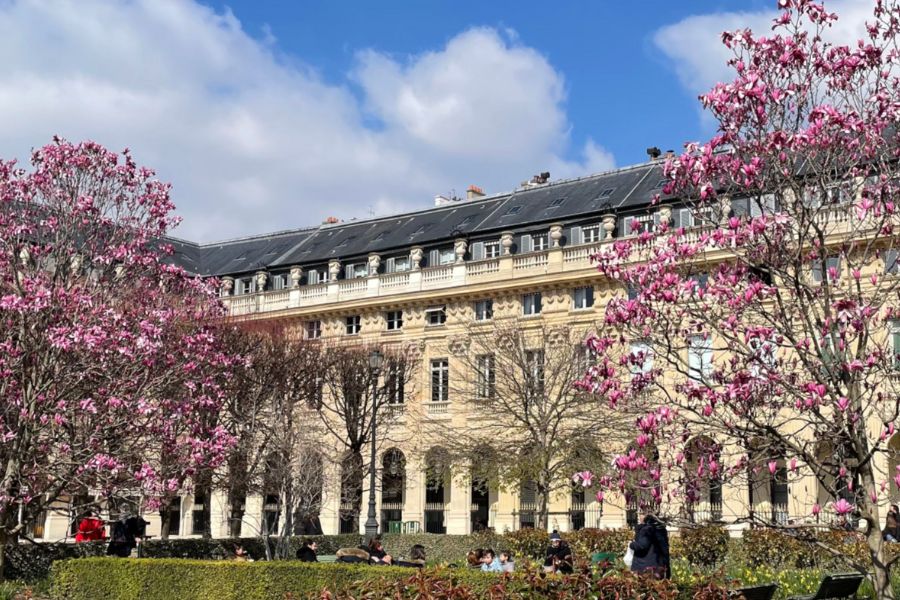 This is an image of Le Palais Royale in Paris — a big cream-coloured building with big flower trees in front of it and greenery.