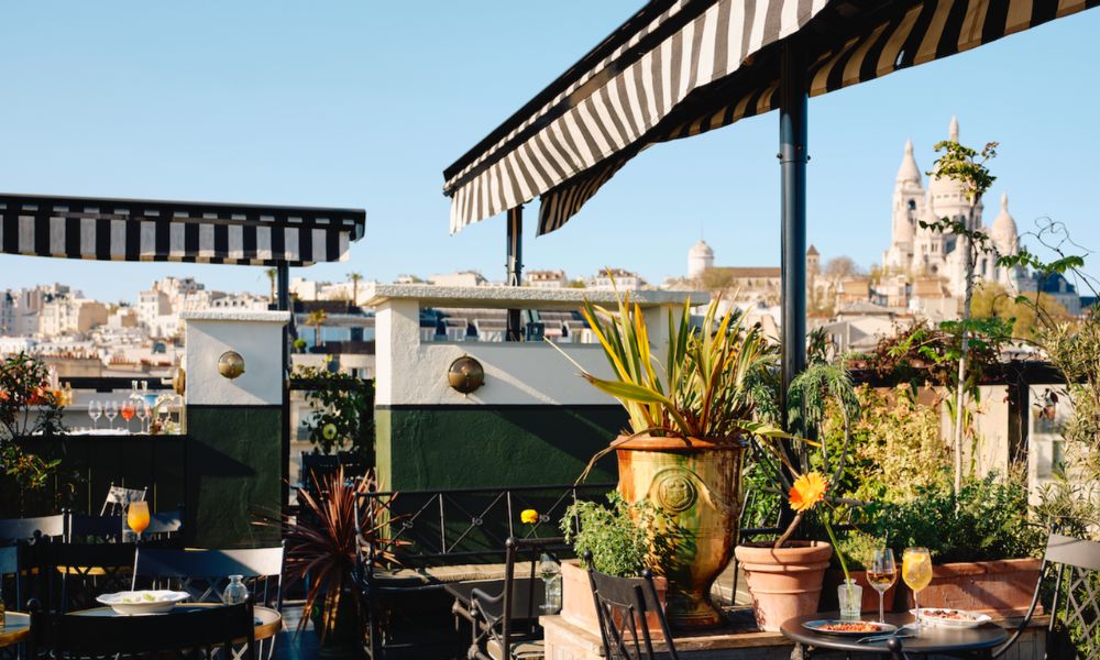 This is an image of a garden rooftop terrace with with heaps of pots, and greenery.