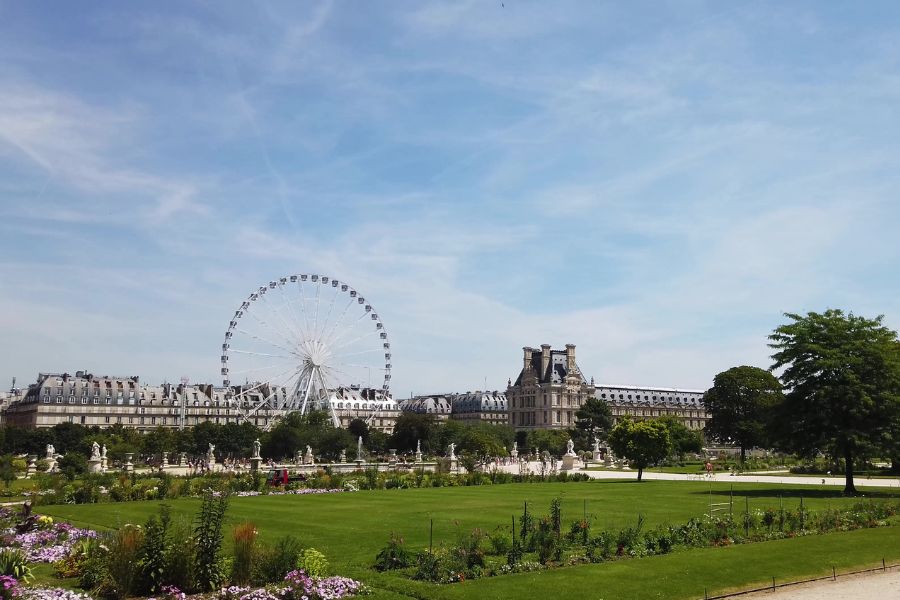 The Tuileries Garden in summer, with manicured lawns, flowering borders, statues, and a large Ferris wheel beside the Louvre