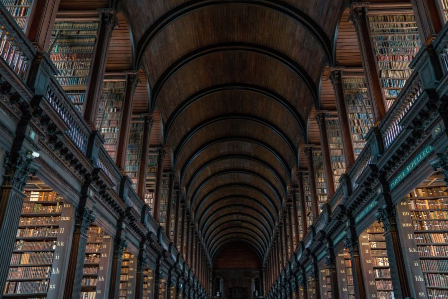 This is an image of a beautiful library with arched ceilings and books lining them.
