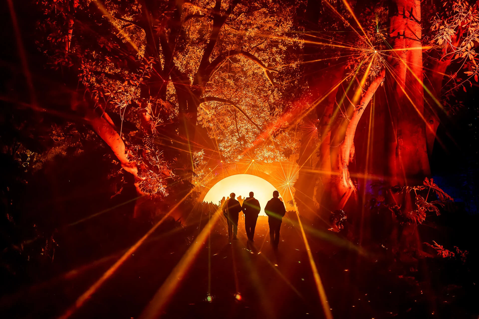 This shows a family walking through a forest at night, which is super well lit by the lights display.