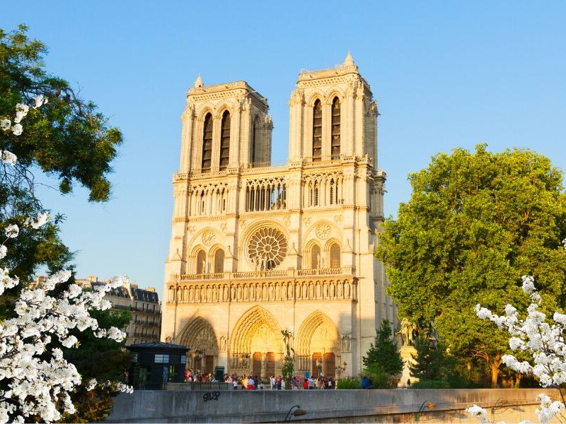 This is an image of Notre Dame in the sun, with spring flowers surrounding it and a blue sky.