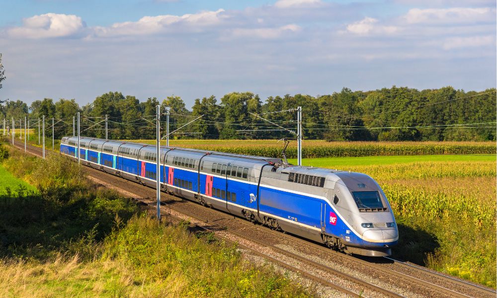 This is an image of a Paris high-speed train trailiing through the countryside with lots of greenery around them.