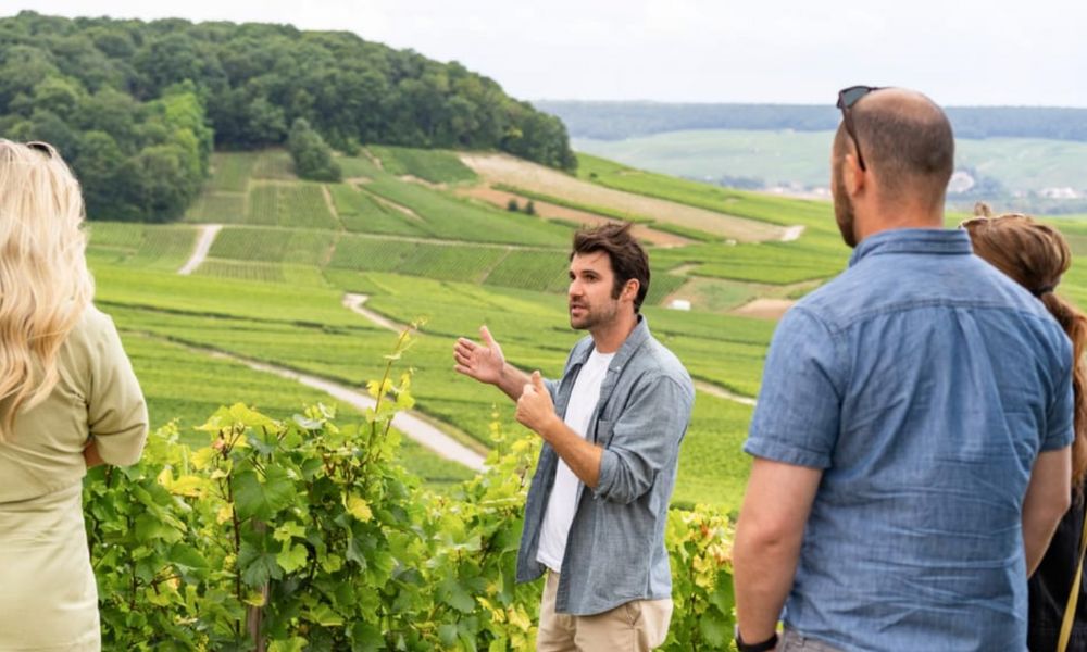 This is an image of a tour guide speaking to a group about the wine and vineyards as part of a Reims winery tour.