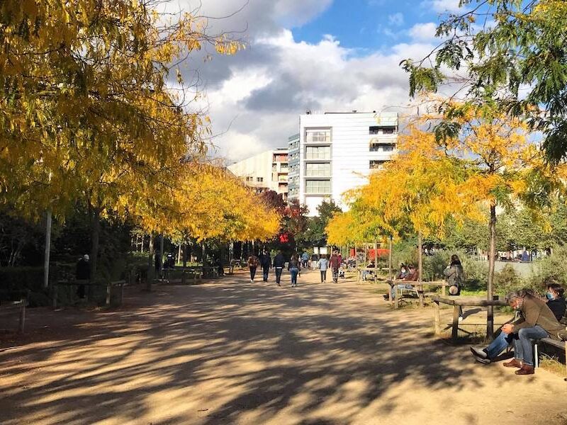 This is an image of a nice park with yellowing trees and a big, sandy path to walk down.