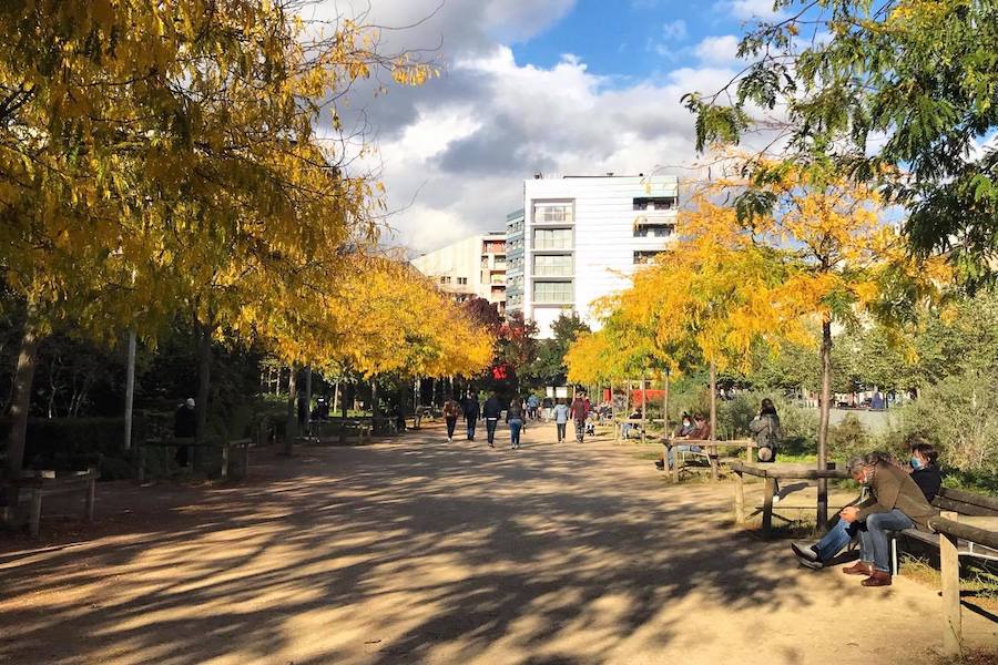 Best Parks in Paris To Take An Autumn Stroll