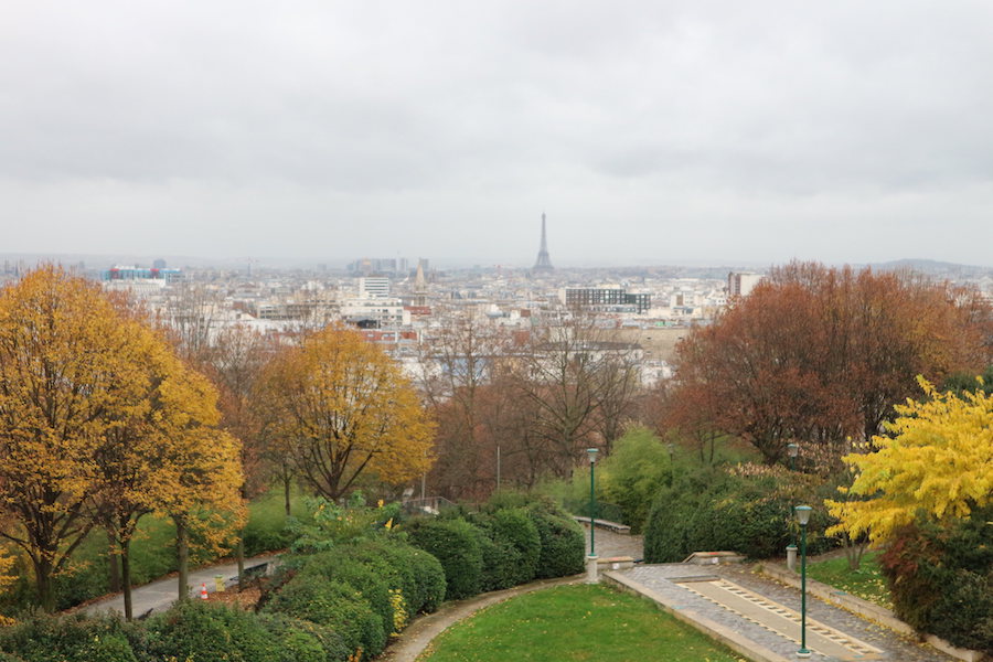 This is an image of a park with a view of the whole city and Eiffel Tower in the distance. The trees close by are primarily orange / brown.