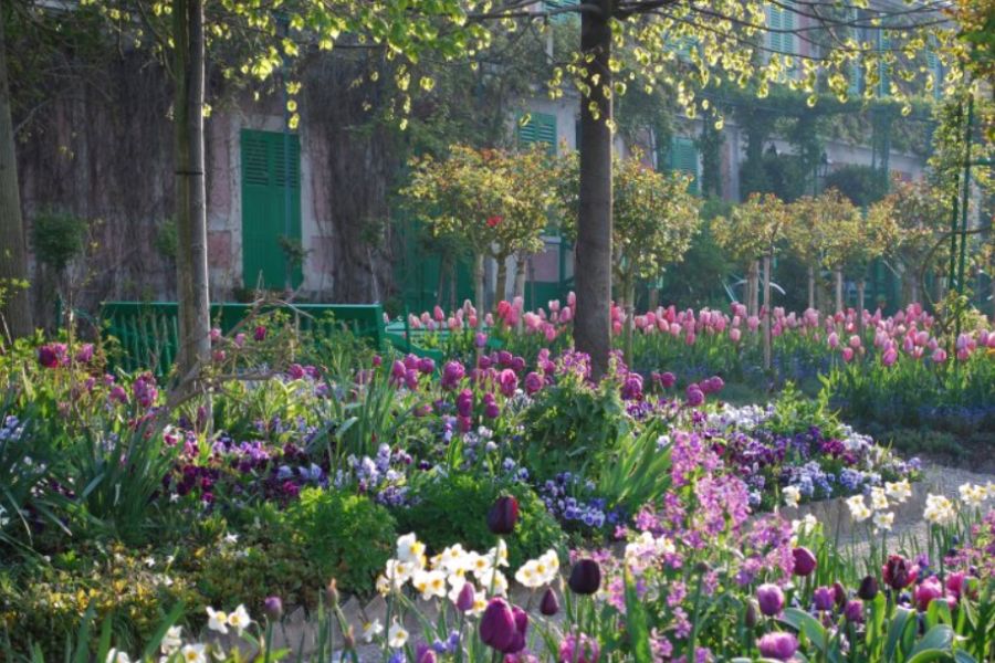 This is an image of Monet's Garden with tulips and flowers surrounding a lovely pink house.