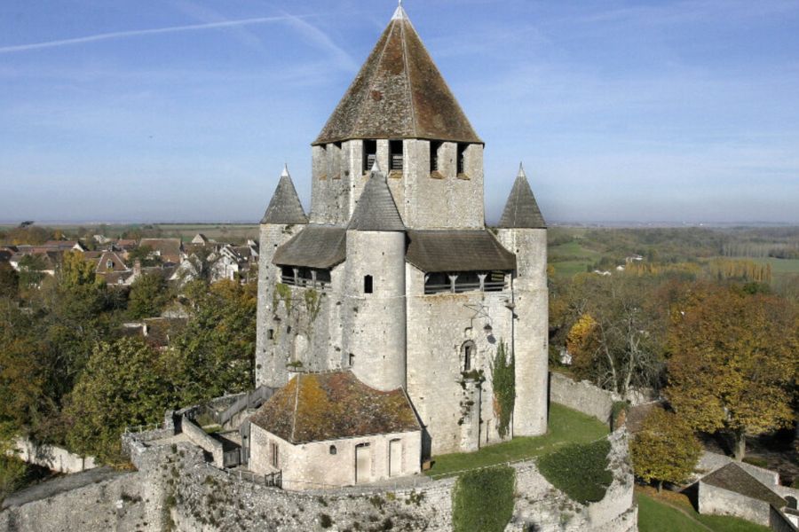 This is an image of the town of Provins. It has a lot of stone buildings and greenery.