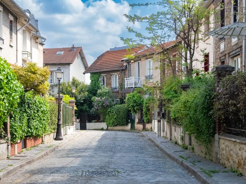 This is an image of a laneway with lots of countryside, cottage-looking houses.