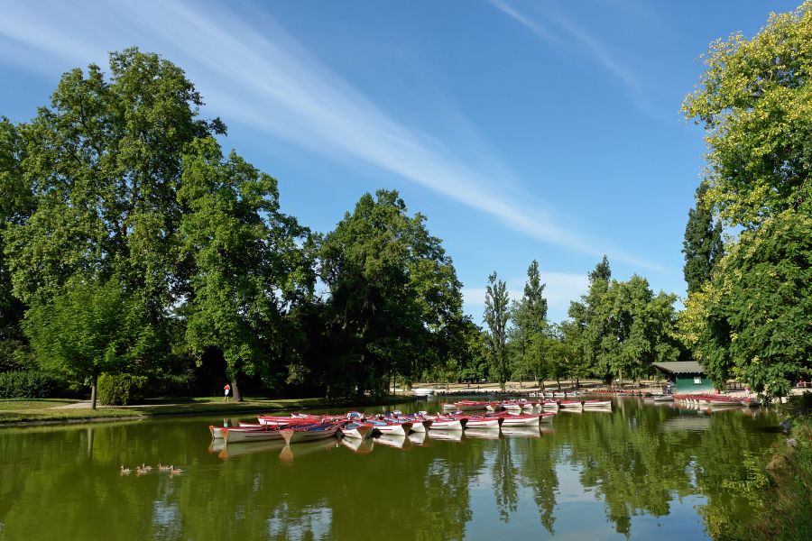This is a picture of a lake with plenty of canoes on it.