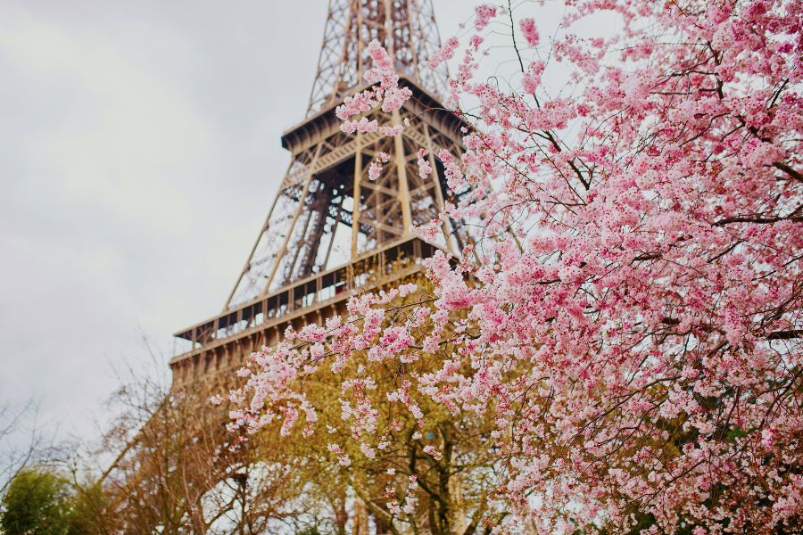 Top Things To Do In Paris in the Spring