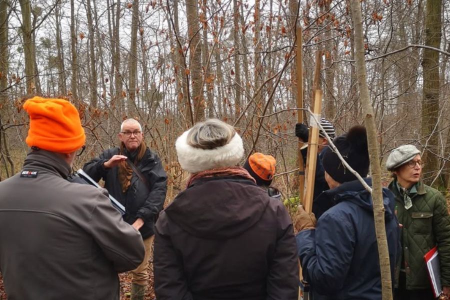 A guide leads a small group through a forest on a winter walking tour
