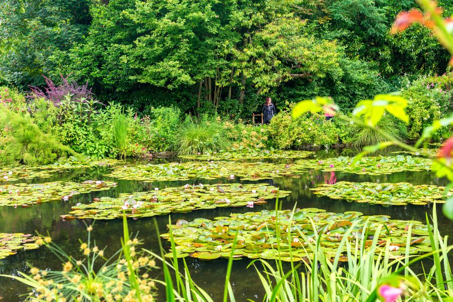Monet's water lily pond surrounded by lush greenery at Giverny