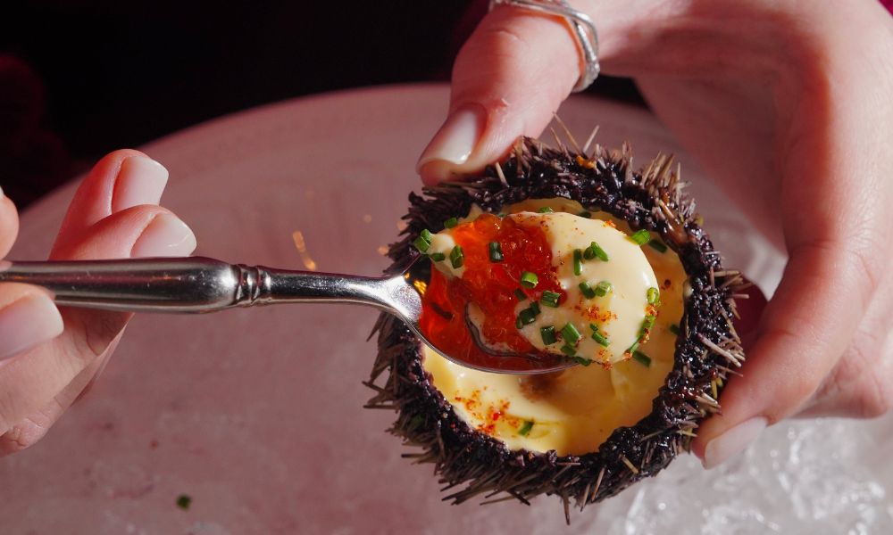 This is an image of a sea urchin with nice filling inside that is being spooned by someone.