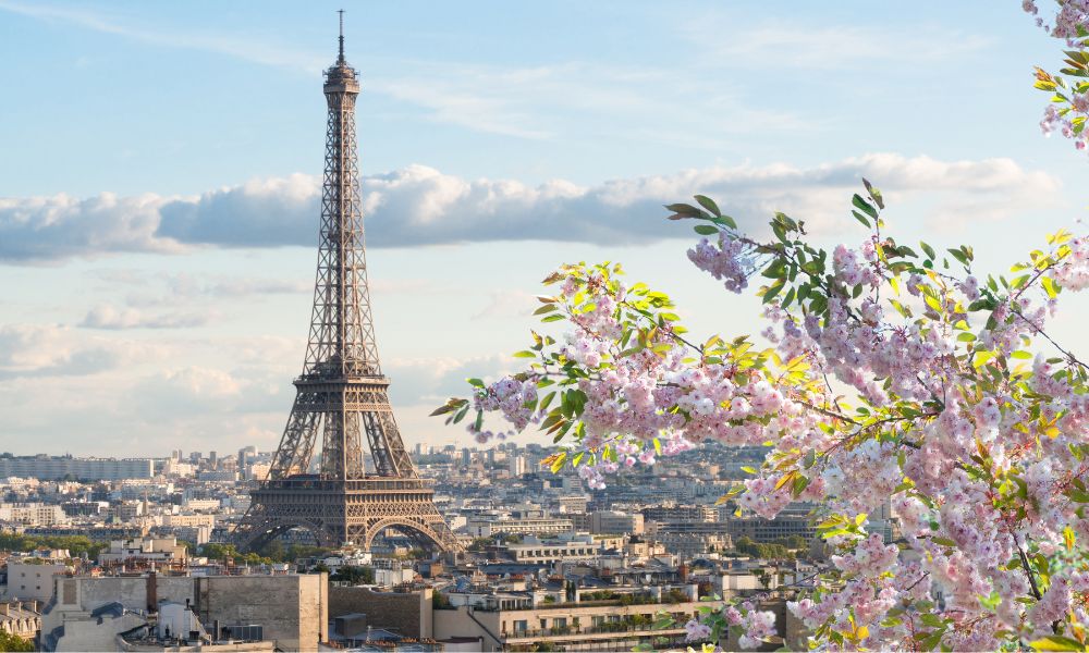 This is an image of a bird's eye view of Paris with the Eiffel Tower and some nice spring trees with flowers.