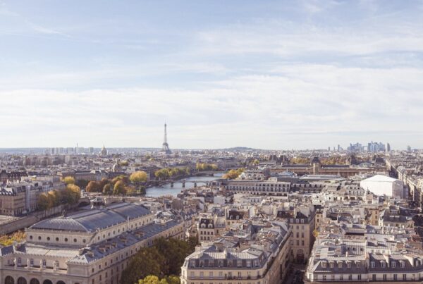 This is an image of Paris from a higher ground. You can see a skyline of buildings, bridges, the Seine, the Eiffel Tower and lots of trees that are turning yellow/orange.