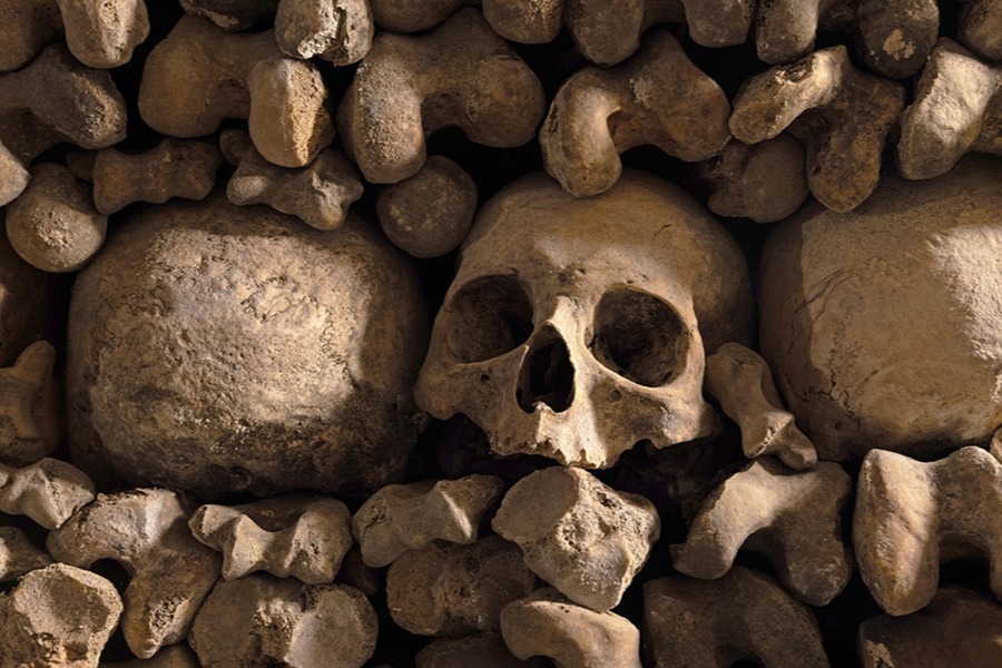 Close-up of a human skull embedded among rounded bones in a Paris Catacombs wall, lit by warm directional lighting.