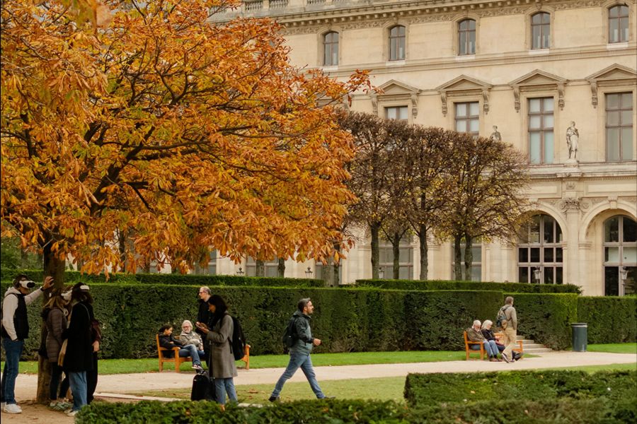 Autumn scene in a Paris garden with a golden-leaved chestnut tree in the foreground, manicured hedges, people walking and relaxing on benches, and a classical stone building with statues along its roofline in the background