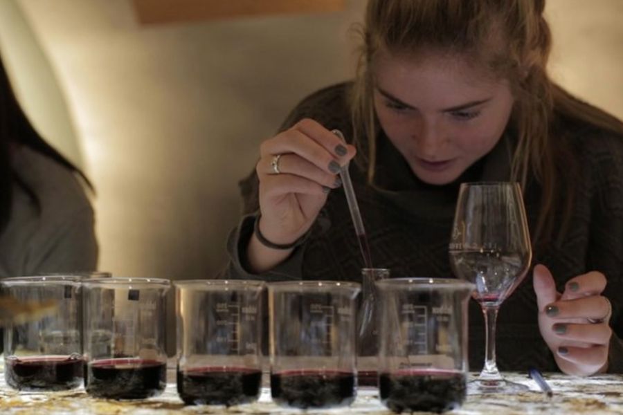 This is an image of a lady using a dropper to create a new wine.