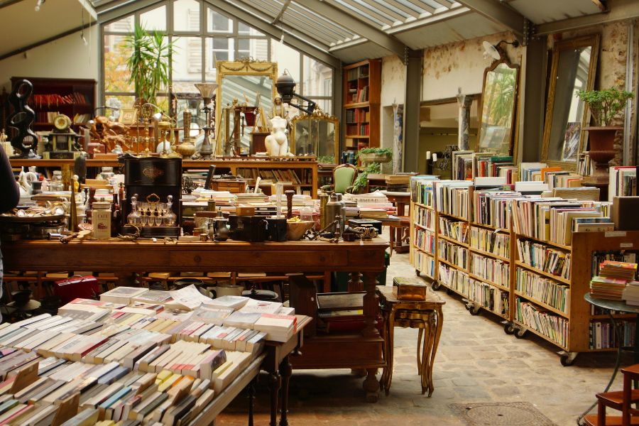 This is an image of a beautiful indoor vintage shop with lots of odd stuff and books. There's also lots of plants and a big window.