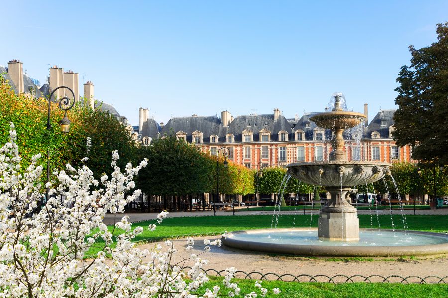 This is an image of a big castle set in a beautiful garden with a water fountain and a bunch of cherry blossom flowers.
